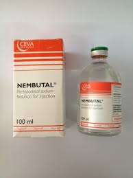 nembutal solution injectable