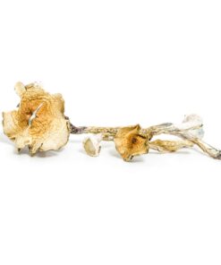 Blue Meanie Mushroom for sale