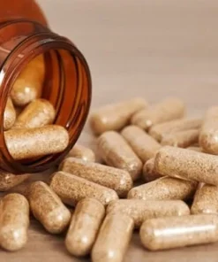 how to microdose mushrooms